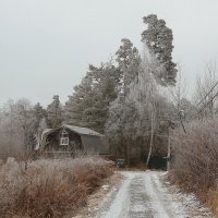 *** :: Леонид leo *** :: Леонид leo