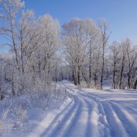 Зимняя дорога :: Наталия Григорьева