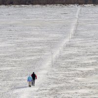 Прогулка по Амуру. :: Виктор Иванович Чернюк