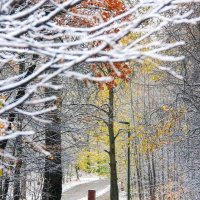 Первый снег Казань :: Нина Колгатина 