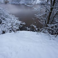 Зимний берег речки :: Александр Синдерёв