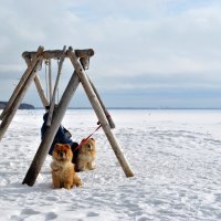 Про покой :: AleksSPb Лесниченко