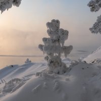 Наблюдатель :: Марина Фомина.