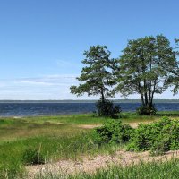 Побережье :: Александр Ильчевский 