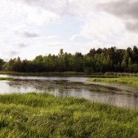 Протока на озере :: Наталья 