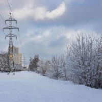 Зимний городской день :: Александр Синдерёв