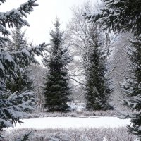 Февраль в городском парке :: Рита Симонова