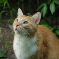 Удивление :: Сергей Швечков Удивление :: Сергей Швечков