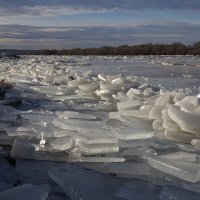 Январский ледоход на Оке :: Светлана Карнаух