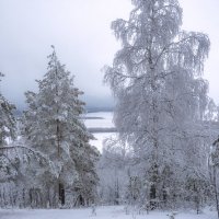 Зимнее очарование :: Наталья Димова