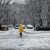 Жёлтый :: Александр Синдерёв