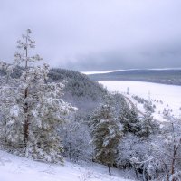 Колдунья зима :: Наталья Димова