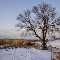 В предзакатном свете :: Валерий VRN