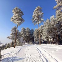 красота Алтайской природы :: михаил Архангел