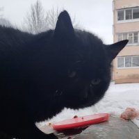 Добро и помощь :: Валентса Левиль
