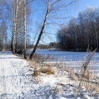 Зима - февраль. :: Милешкин Владимир Алексеевич 