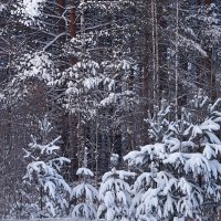 Из прошлого. Нынче снега мало :: Галина Кан