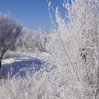 Студёное утро :: Наталия Григорьева