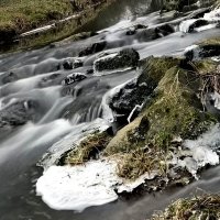 Пришла весна! Журчат ручьи, Светлеет небосвод, И дарит таинство любви, Которое несёт. :: "The Natural World" Александер