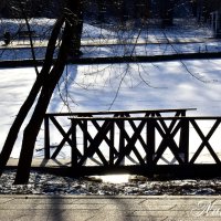 Солнечный день. :: Наталья Вязигина