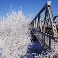 Зимний мост :: Наталия Григорьева