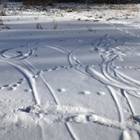 Рисунки на зимнем озере. :: Любовь 