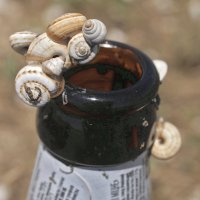 "не дай себе засохнуть" :: Всеволод 