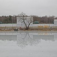 Скоро весна :: Pippa 