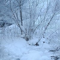 Зимняя зарисовка :: Любовь Сахарова