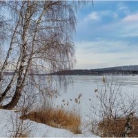 *** :: Алексей Мезенцев