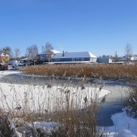 В окрестностях Калининграда :: Рита Симонова