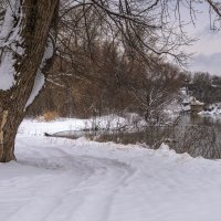 Прогулка в зимний день :: Игорь Сикорский