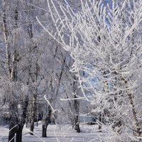 Зима в городе :: Наталия Григорьева