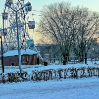 В зимнем парке :: Светлана SvetNika17