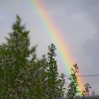 Радуга :: Сергей Швечков