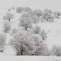 ЗИМНЯЯ ПРОГУЛКА. :: Виктор Осипчук