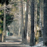 *** :: Леонид leo