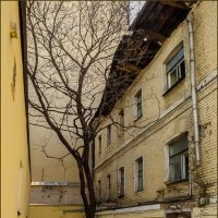 Городской пейзаж :: Наталья Rosenwasser