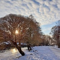 Масленичная неделя началась по-весеннему солнечной и тёплой! :: Лия ☼