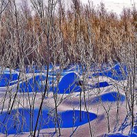 Февраль...Мороз, снег и иней! :: Владимир 