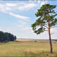 За Волгой :: **** vedin За Волгой :: **** vedin