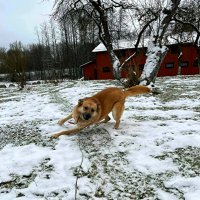 ПОИГРАЕМ :: Анатолий Малобродский