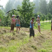 На сенокосе :: Олег Зоркий