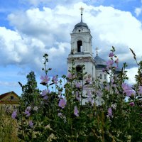 """"""""" :: Татьяна Касьяненко """"""""" :: Татьяна Касьяненко