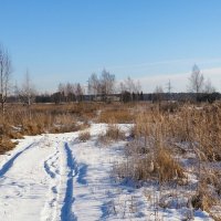 В конце зимы (репортаж из поездок по области). :: Милешкин Владимир Алексеевич 