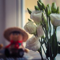 В ожидании Весны :: Магомед . В ожидании Весны :: Магомед .