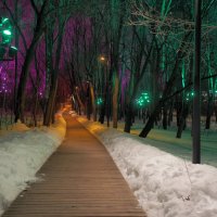 Из прогулки по Воробьёвым горам в Москве. :: Евгений Седов