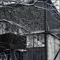 Монино :: Наталья Rosenwasser