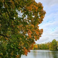 Гатчина. Дворцовый парк. :: Юлия Голикова