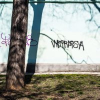 Восхитительная подстанция покрытая светотенью & граффити :: Коля Лукашов